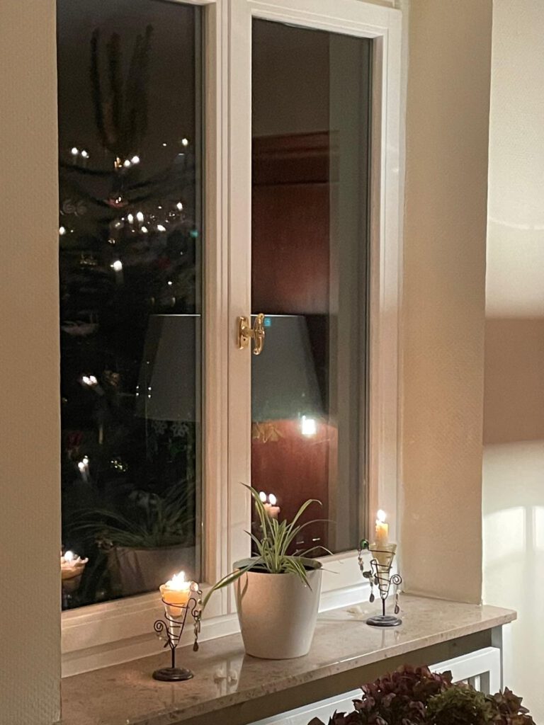 Fenster Wohnzimmer