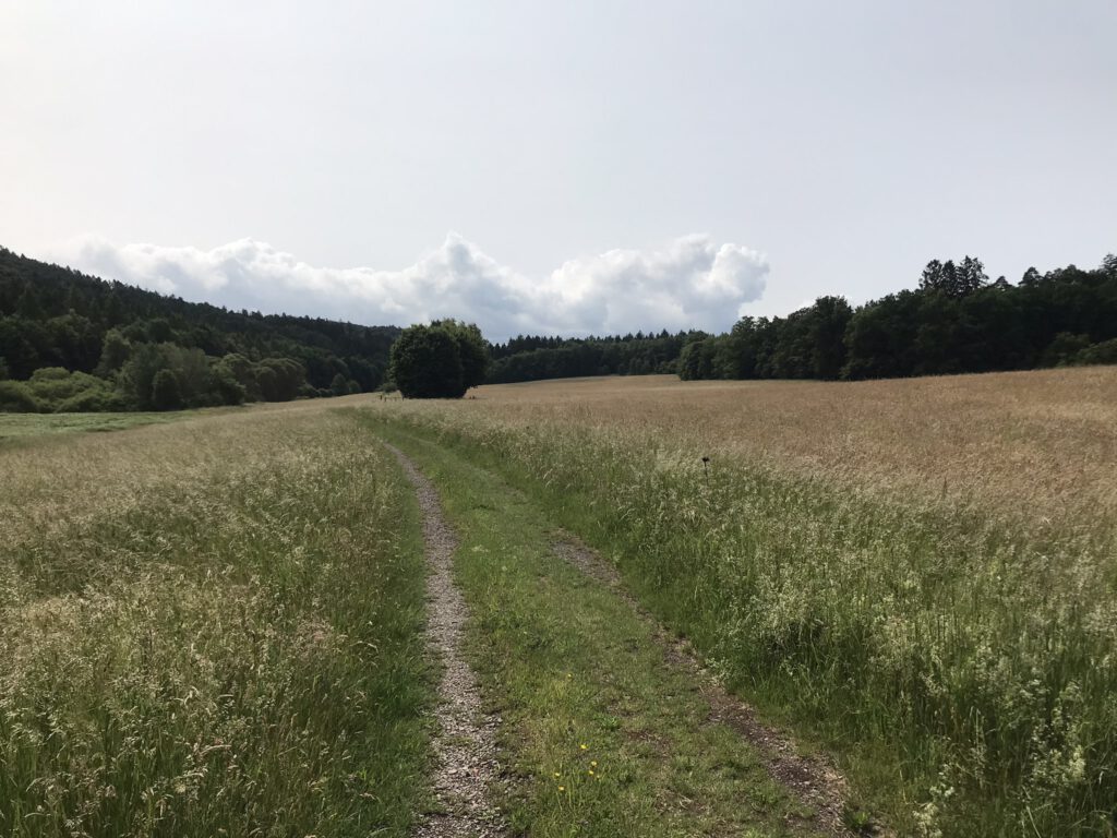 Frohnsbachtal