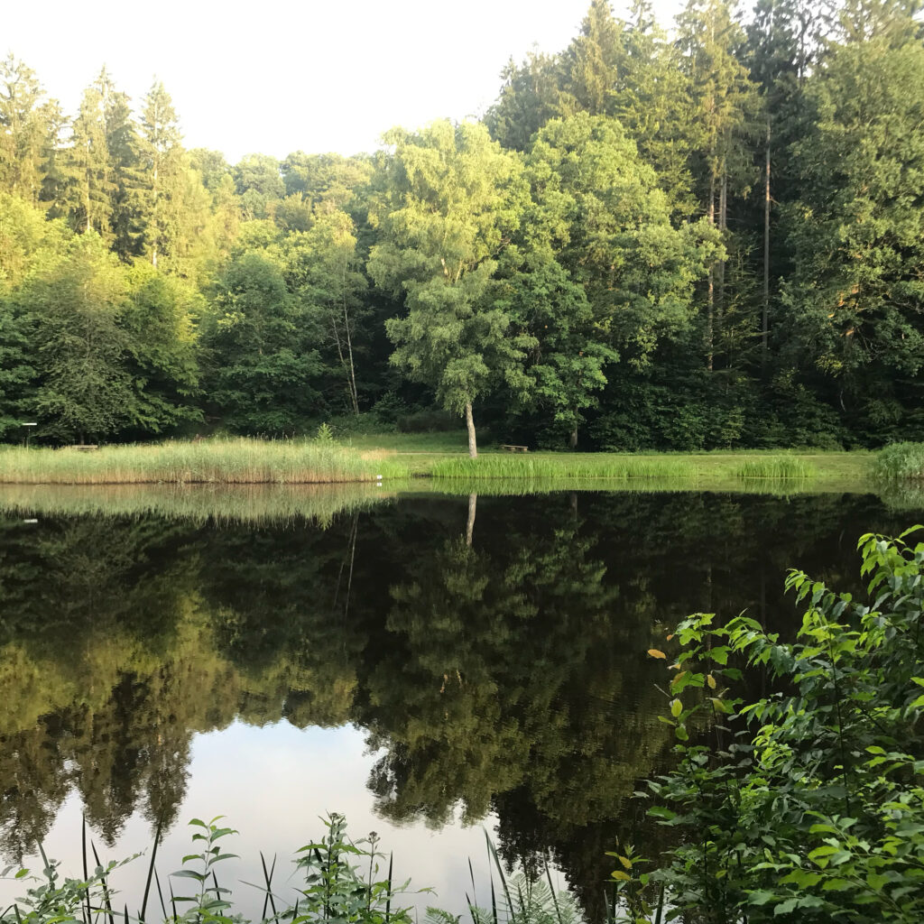 Sägeweiher