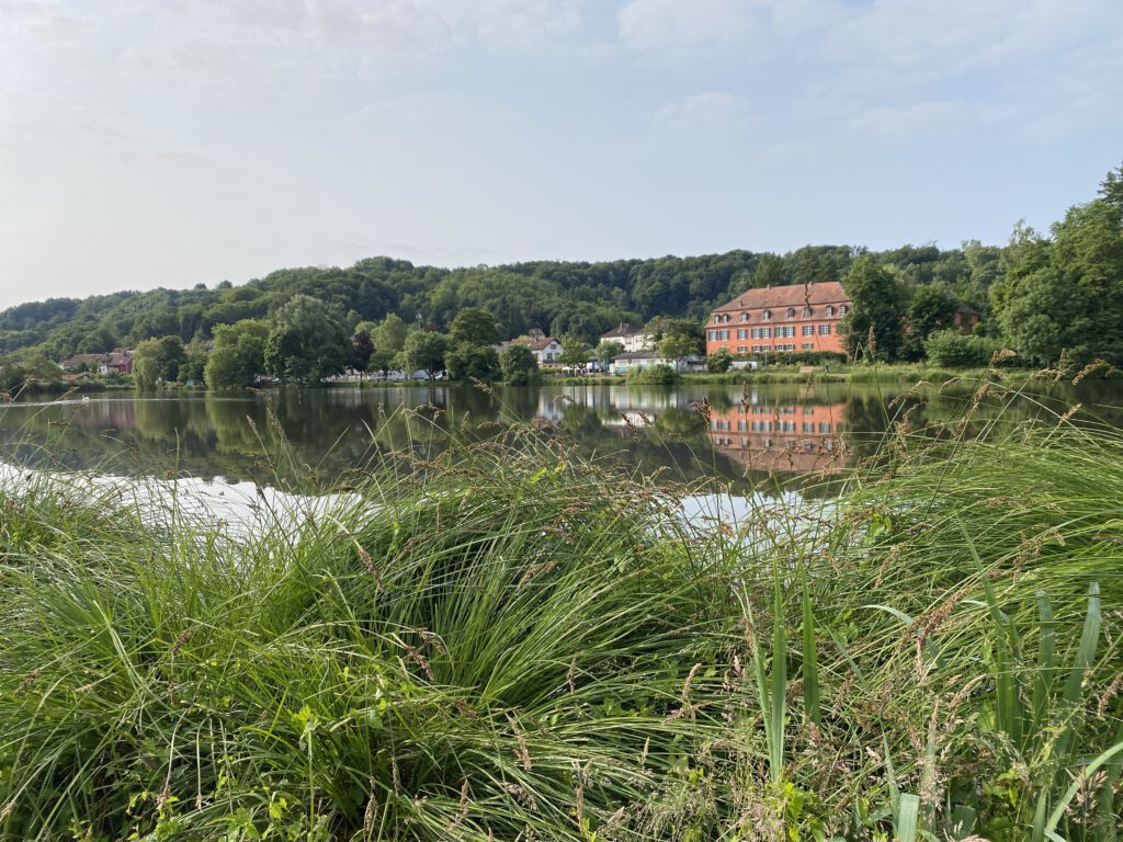 Würzbacher Weiher